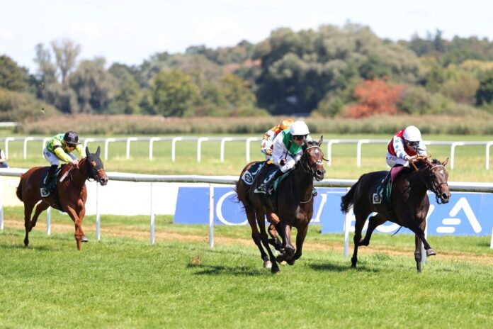 Believe in Me (re.) siegt unter Adrie de Vries