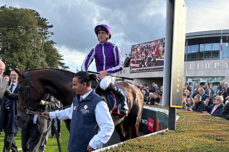 Delacroix wird Deckhengst – „Interessantes Outcross-Angebot“