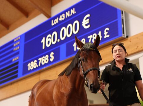 Der Soldier Hollow-Sohn aus der Quantum Love