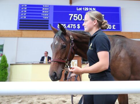 Der Topseller aus der Novemba