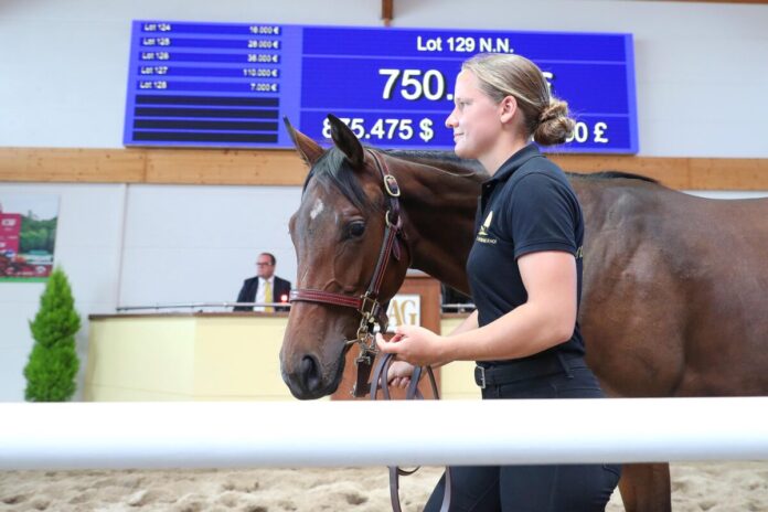 Der Topseller aus der Novemba