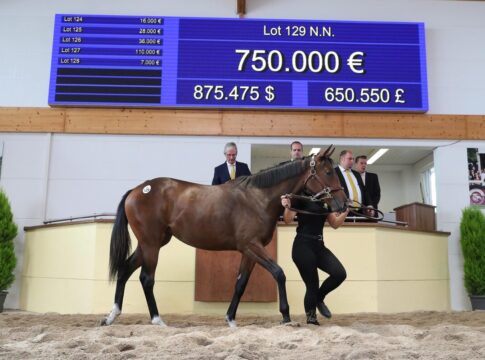 Die Sea The Stars-Tochter aus der klassischen Siegerin Novemba