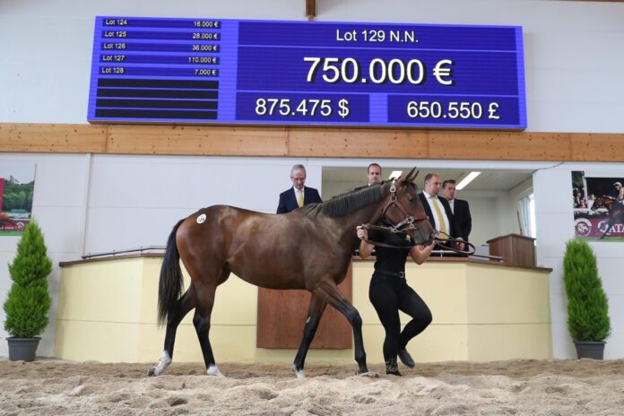 Die Sea The Stars-Tochter aus der klassischen Siegerin Novemba