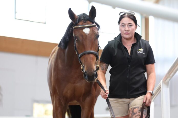 Die Soldier Hollow-Tochter aus der Dalmenya