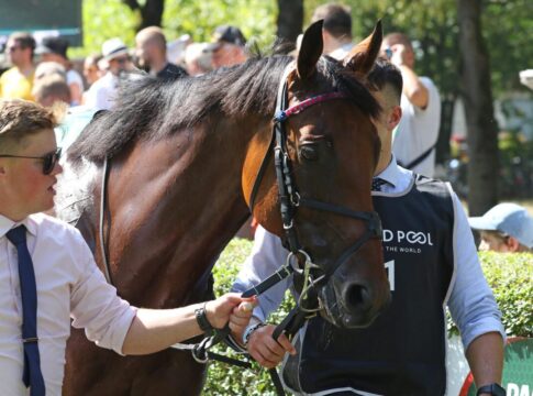 Dubai Honour im Iffezheimer Führring im Jahr 2024