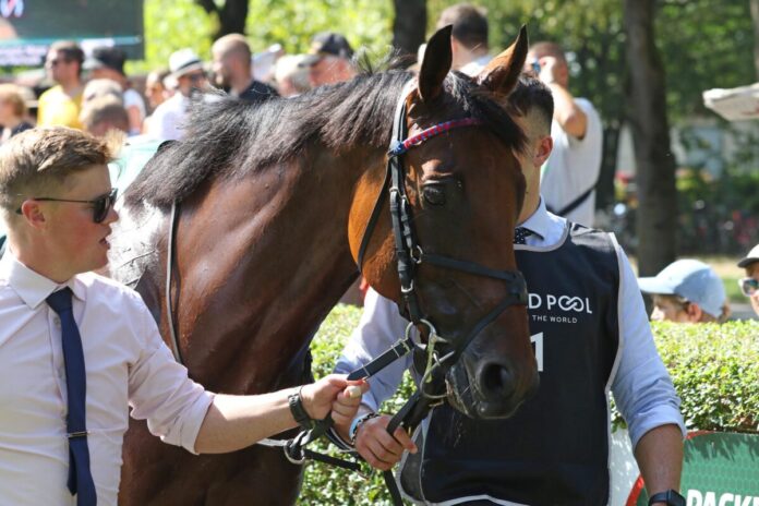 Dubai Honour im Iffezheimer Führring im Jahr 2024