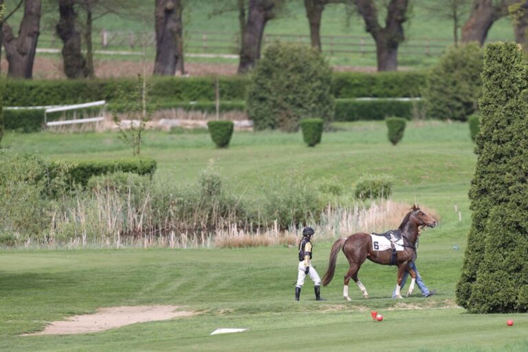 Das sind die Nichtstarter und Reiterwechsel für den 02. November