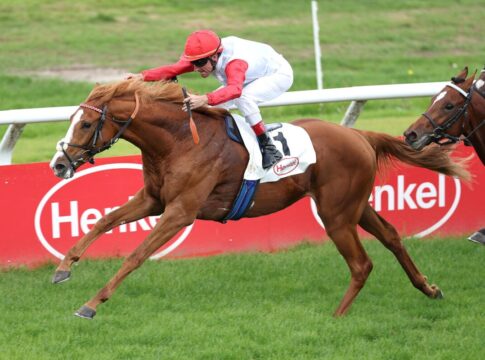 Guevara siegt unter Andrasch Starke