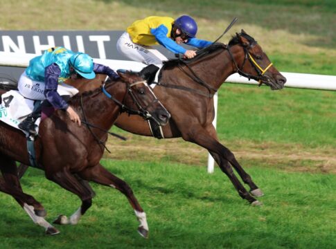 Free Folie siegt unter Michal Abik