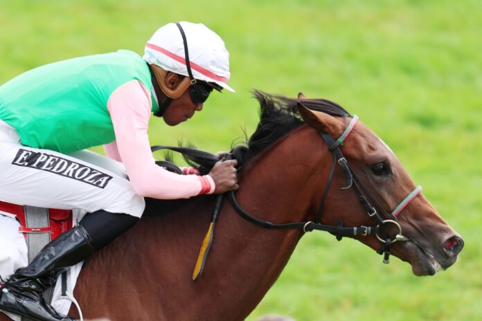Gostam siegt unter Eduardo Pedroza im 152. Renate und Albrecht Woeste-Zukunftsrennen