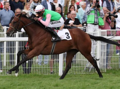 Gostam siegt unter Eduardo Pedroza im 152. Renate und Albrecht Woeste-Zukunftsrennen - Gr. 3
