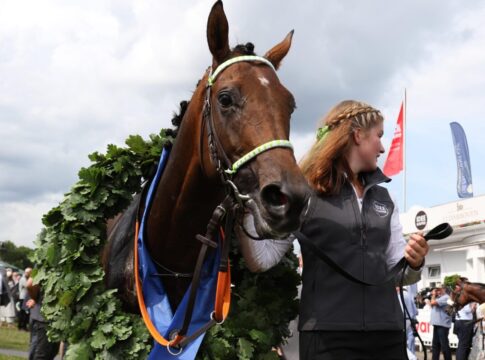 Hochkönig nach dem Derbysieg von Hamburg
