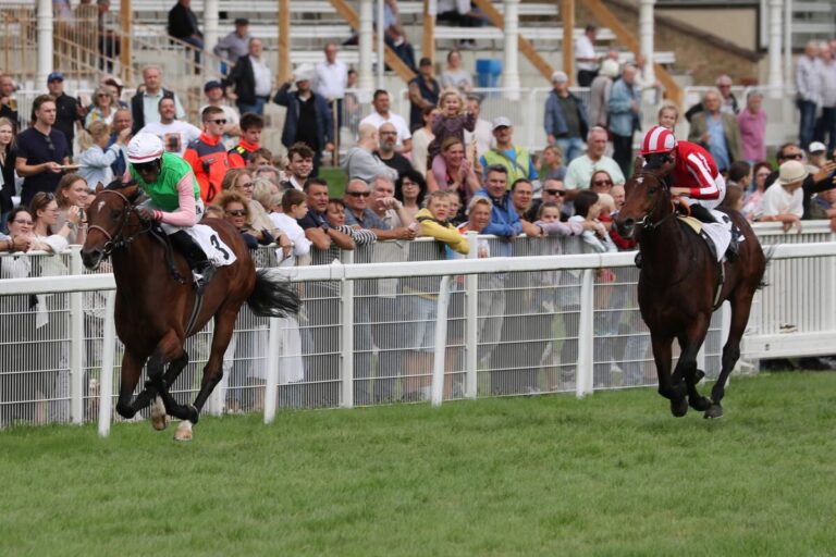 Commander‘s Intent kann Gostams Form aus dem Zukunfts-Rennen aufwerten