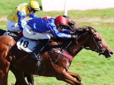 Imani siegt unter David Liska