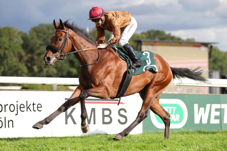 Love Me Tender-Preis steigt bis auf 180.000 Euro