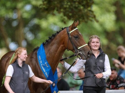 Der Derbysieger Hochkönig wird vom Rennclub geehrt