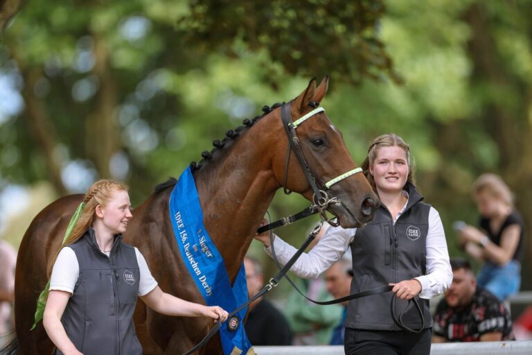 Derbysieger Hochkönig tritt nicht im Preis von Europa an