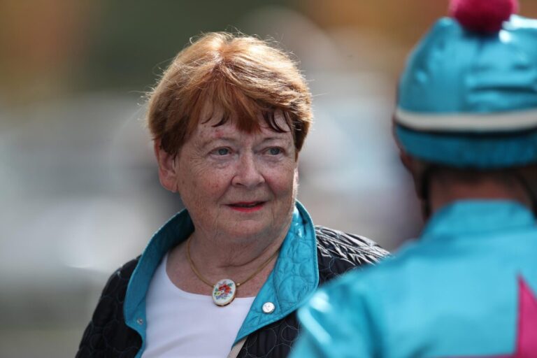 Nach Bruder Night Star gewinnt auch Night Sky – Haller-Zucht mit Doppel