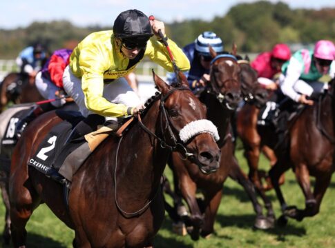 Miss Information siegt unter Callum Hutchinson im Wackenhut Fillies Cup, Listenrennen