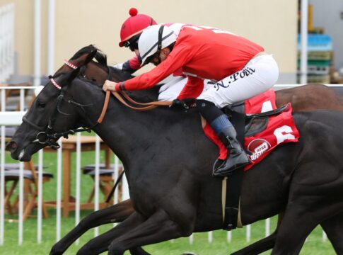 Nightdance Giulia siegt unbter Nicol Poli