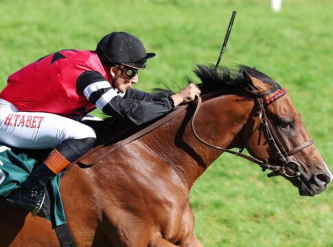 Noshowlikeajoeshow siegt unter Hakim Tabet