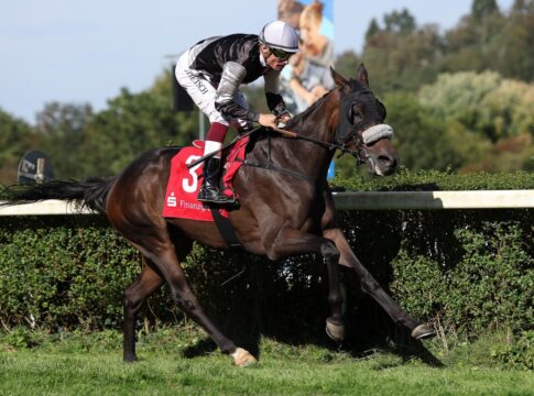 Dawn Sky siegt unter Alexander Pietsch