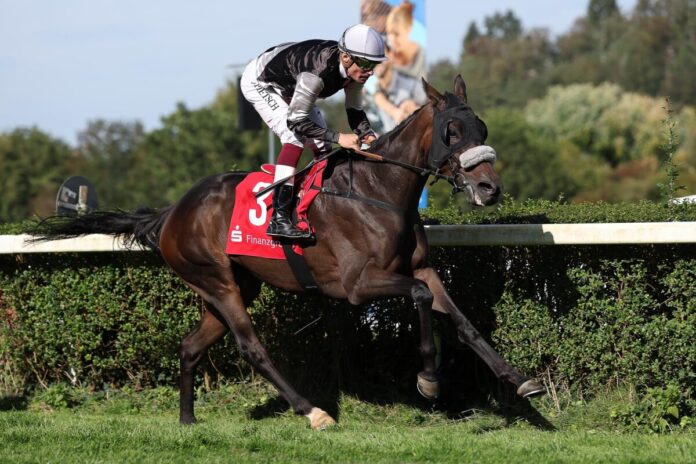 Dawn Sky siegt unter Alexander Pietsch