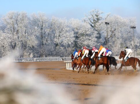 49 Rennen an 7 Renntagen – Termine Sandbahnsaison 2025/2026 veröffentlicht