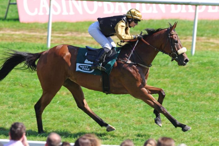 Santino Corleone siegt unter Anna-Lena Weidler