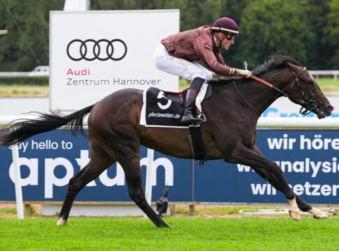 Speedy Gonzales siegt unter Martin Seidl