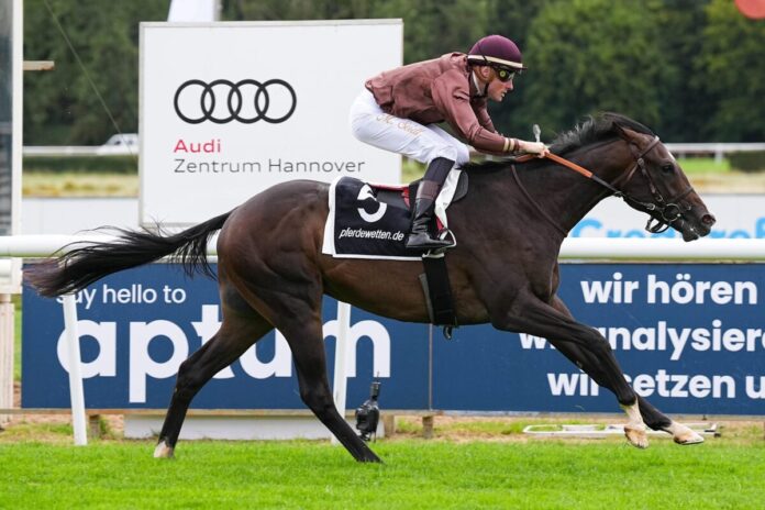 Speedy Gonzales siegt unter Martin Seidl