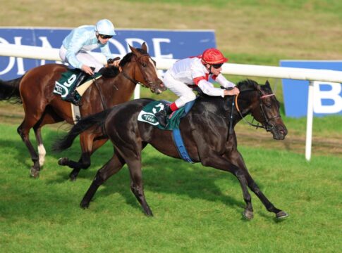 Springtime siegt unter Andrasch Starke