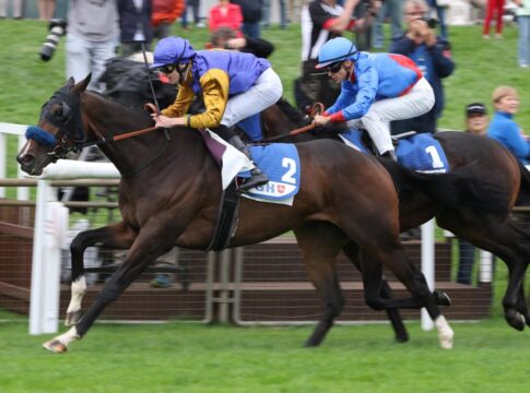 Warren Hill siegt unter Leon Wolff im Gro§er Preis der VGH Versicherungen - BBAG-Auktionsrennen