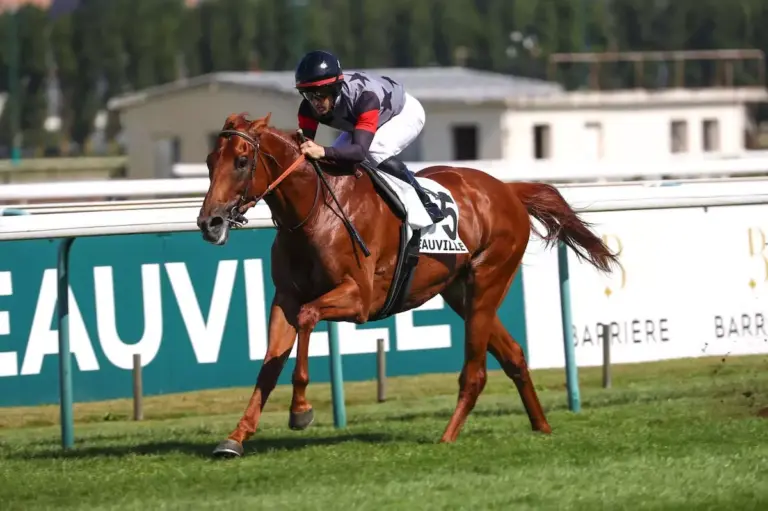 Prix de l’Arc de Triomphe: Alohi Alii testet Bahn von Longchamp
