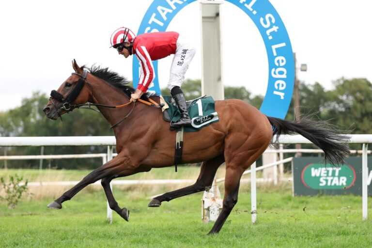 St. Leger-Sieger Caballo De Mar beginnt die Saison in Dubai