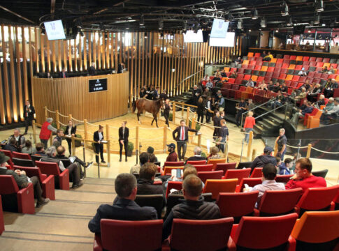 Arqana Auktionshalle