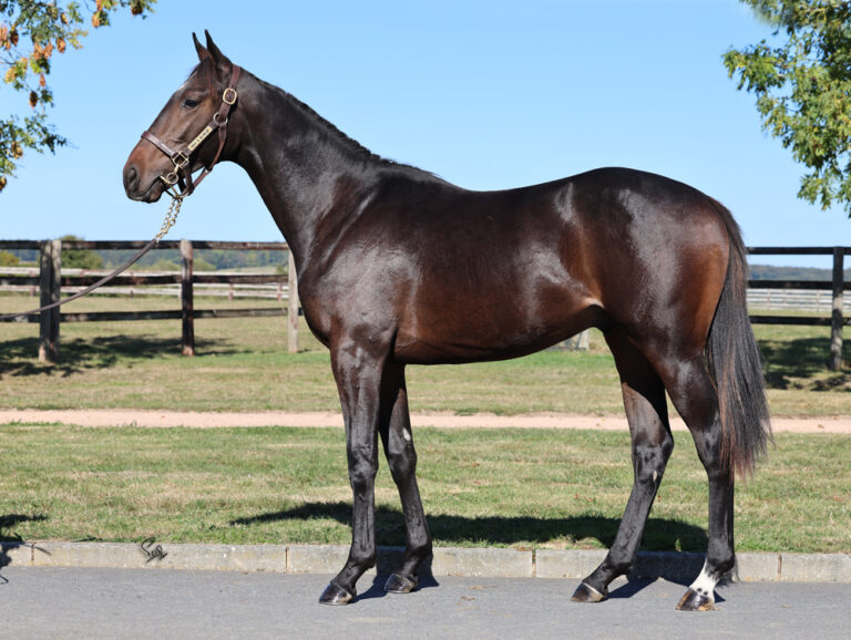 Einziger Stradivarius aus deutscher Mutter bringt 72.000 Euro bei Arqana