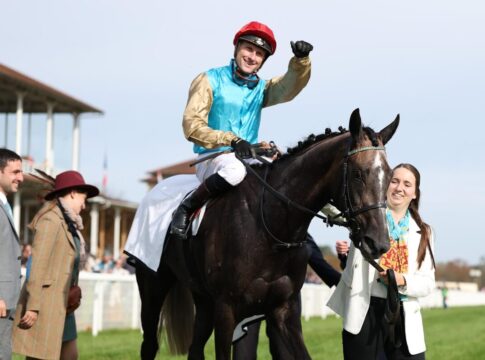 Alsterperle siegt unter Martin Seidl im Carla Kellner Zukunftsrennen - Preis der Winterkönigin