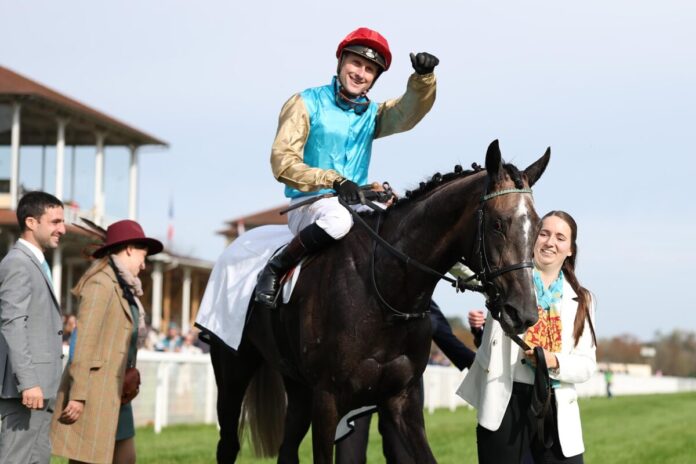 Alsterperle siegt unter Martin Seidl im Carla Kellner Zukunftsrennen - Preis der Winterkönigin