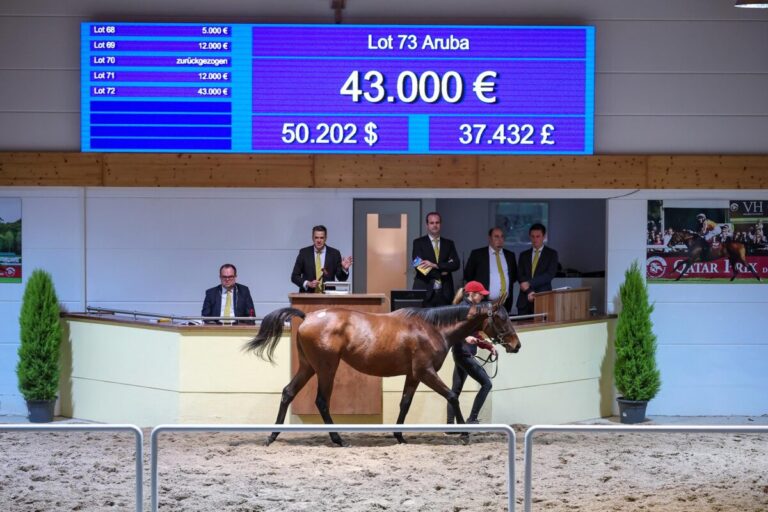 Neuer Höchstpreis wieder durch Rubaiyat-Stute – nun 43.000 Euro