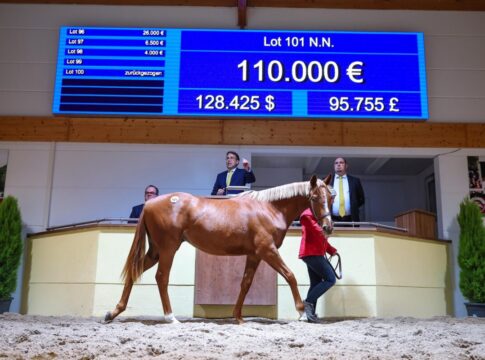 Topseller Tag1 - Kat.Nr. 101 N.N. a.d. Lucy Lou