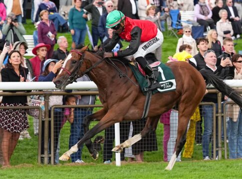 Delgardo siegt unter Eduardo Pedroza im Großen Preis des Audi Zentrum Hannover - BBAG Auktionsrennen