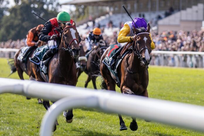 Delgardo (li.) und Santagada im Preis der Deutschen Einheit