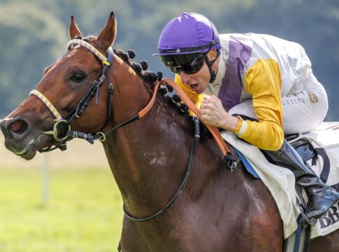 Dragon Magic siegte unter David Liska in einem der BBAG Auktionsrennen 2025