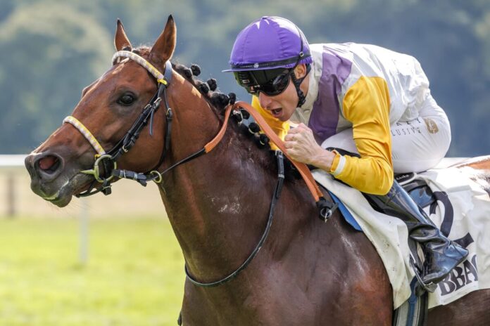 Dragon Magic siegte unter David Liska in einem der BBAG Auktionsrennen 2025