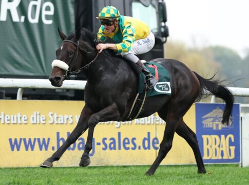 Fast Angel siegt unter Martin Seidl