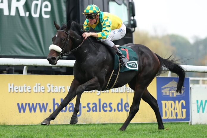 Fast Angel siegt unter Martin Seidl