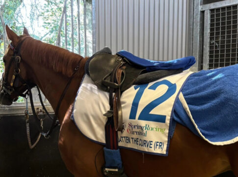 Flatten the Curve in Australien Foto: Rennstall-Grewe