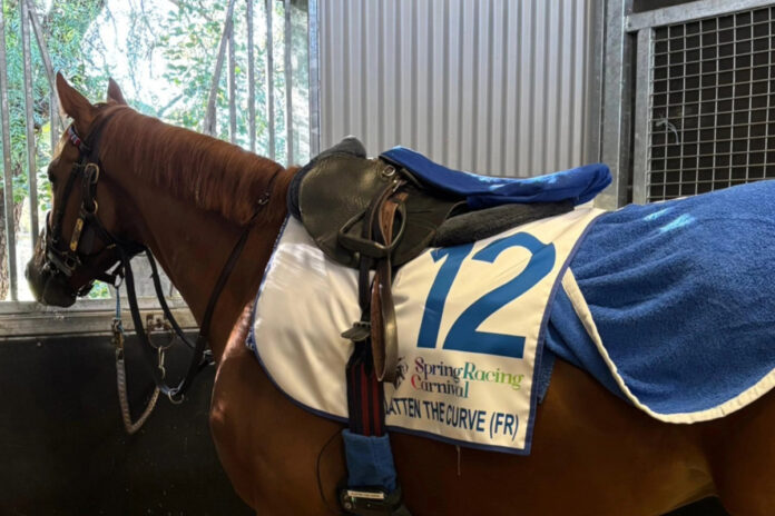 Flatten the Curve in Australien Foto: Rennstall-Grewe