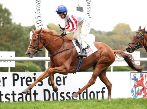 Franky's Dream siegt unter Adrie de Vries